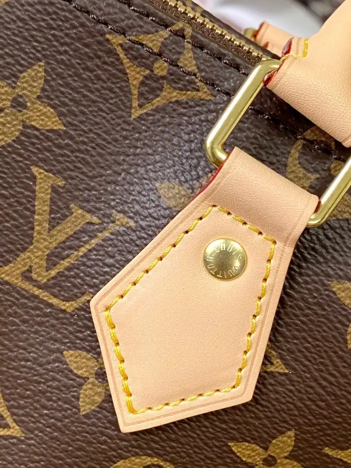LV Speedy Bags 4206A-5954