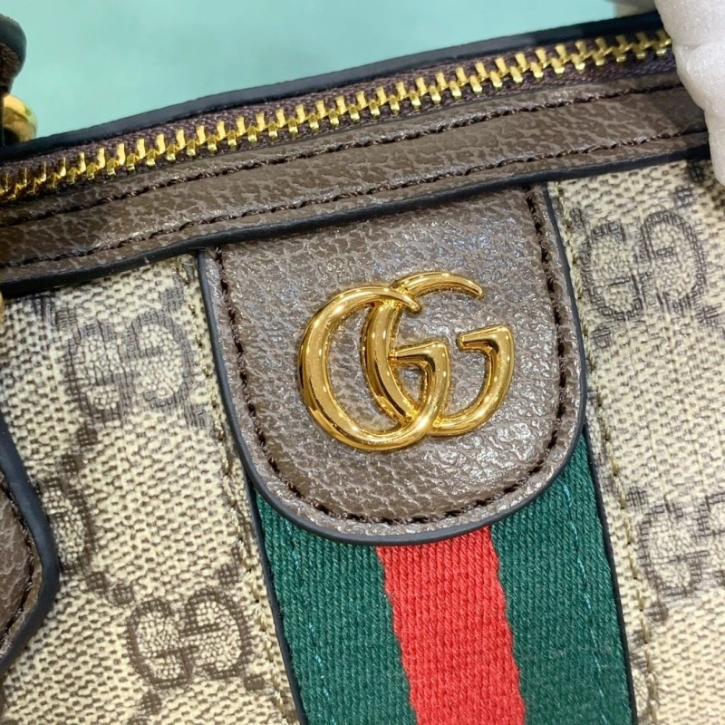 Gvc*1 speedy bags 4220c-0100