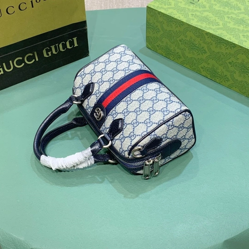 Gvc*1 speedy bags 4220c-0101