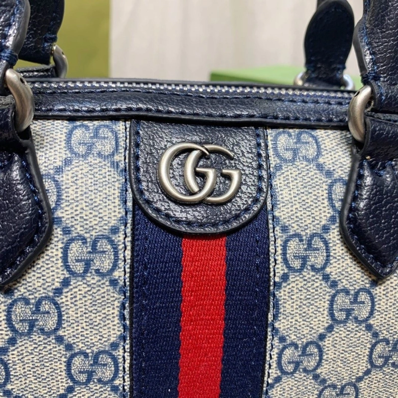 Gvc*1 speedy bags 4220c-0101