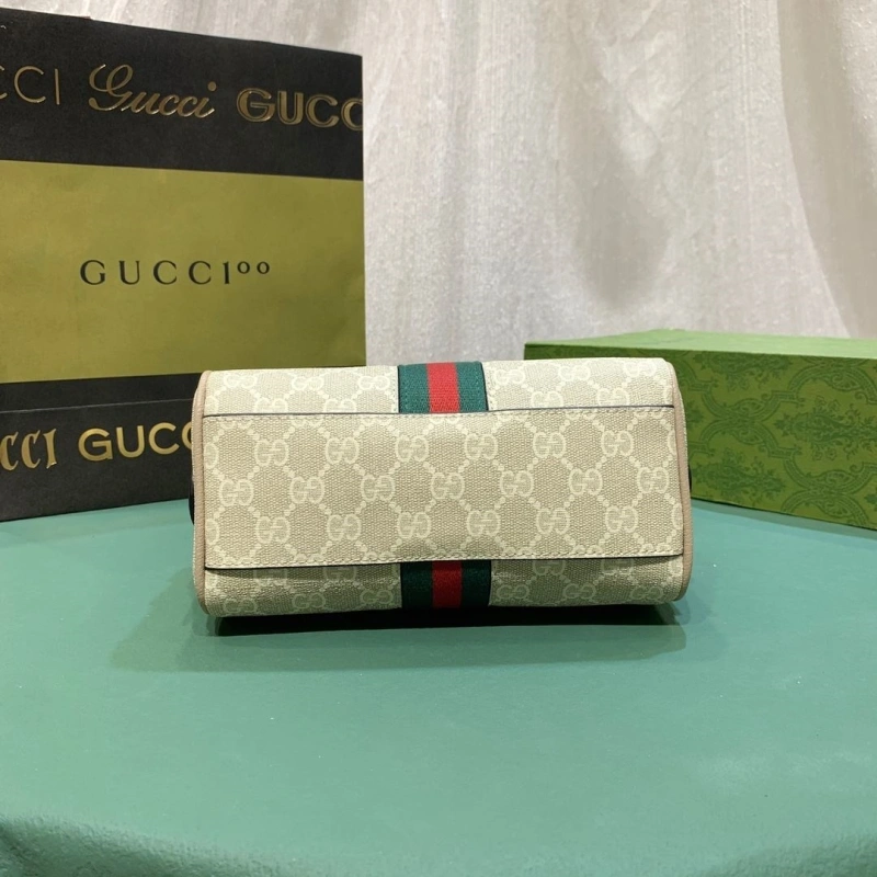 Gvc*1 speedy bags 4220c-0102