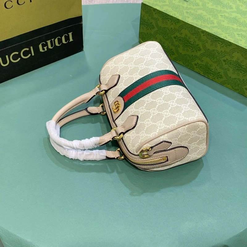 Gvc*1 speedy bags 4220c-0102