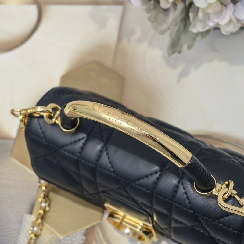 D10r top handle bags 4220c-0170