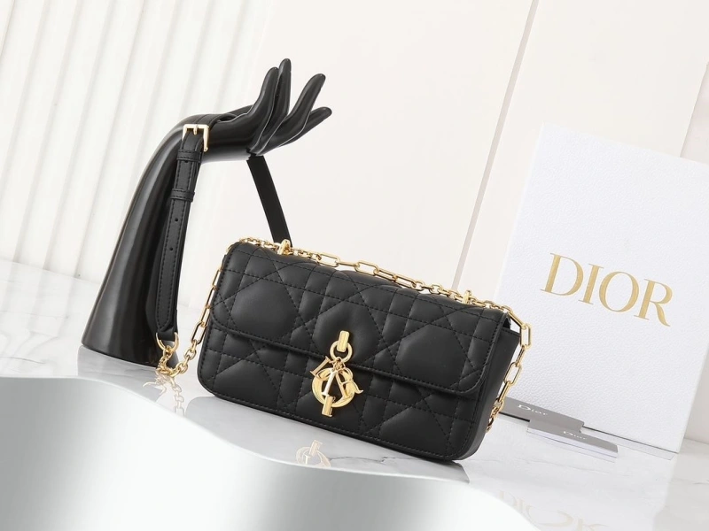 D10r satchel bags 4220c-0243