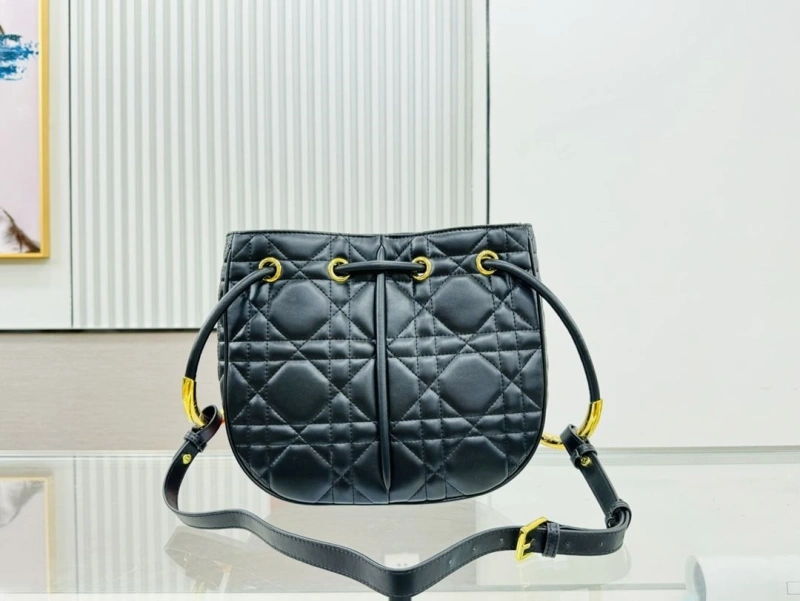 D10r satchel bags 4220c-0301