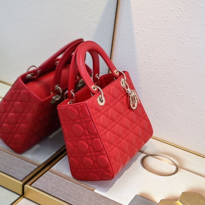 D10r my lady bags 4220c-0319