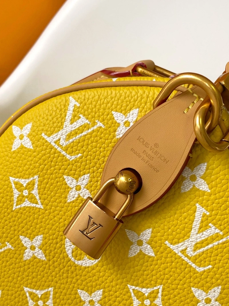 LV Speedy Bags 4233A-0850