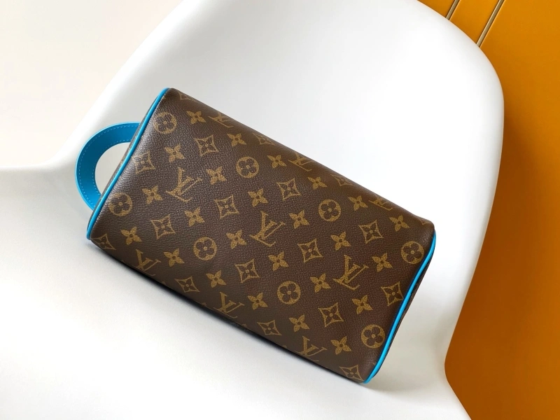 LV Cosmetic Bags 4233A-2098