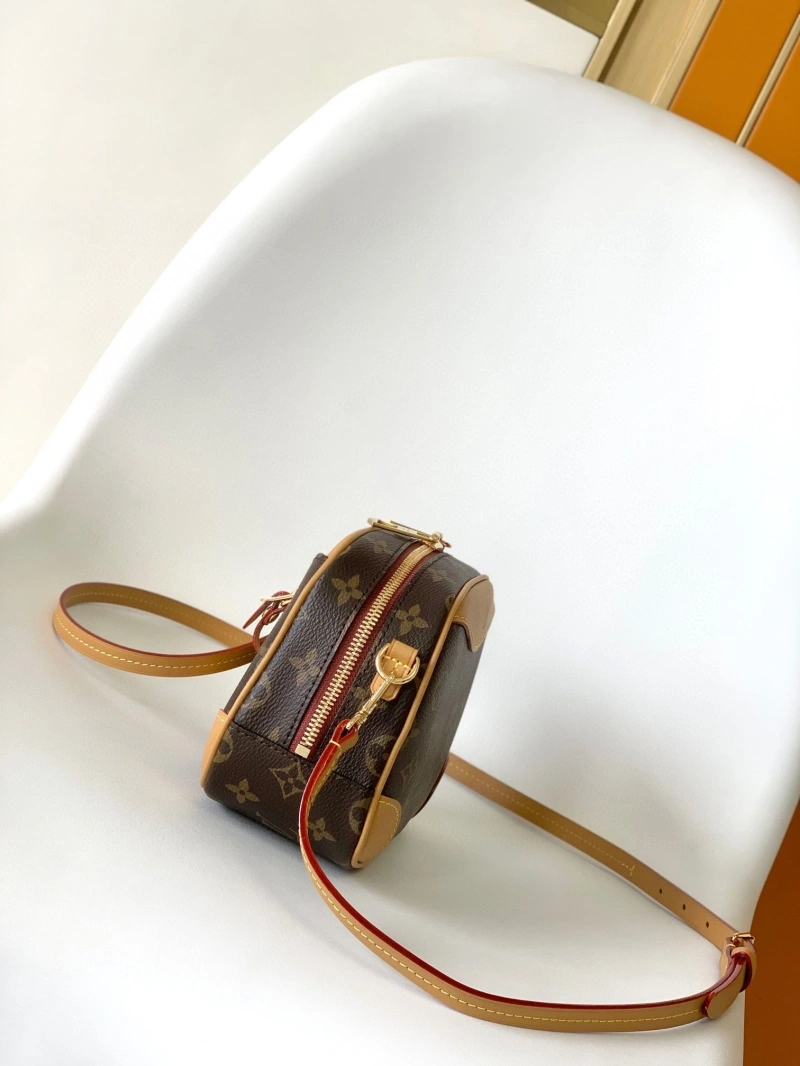LV Satchel bags 4233G-0584