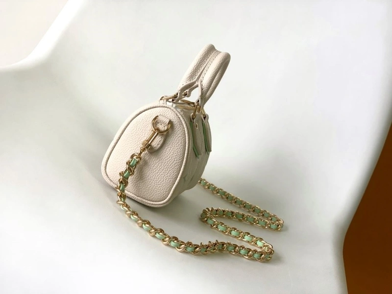 LV Speedy Bags 4233G-0588