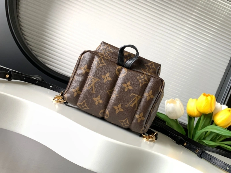 LV Backpacks 4233H-0562