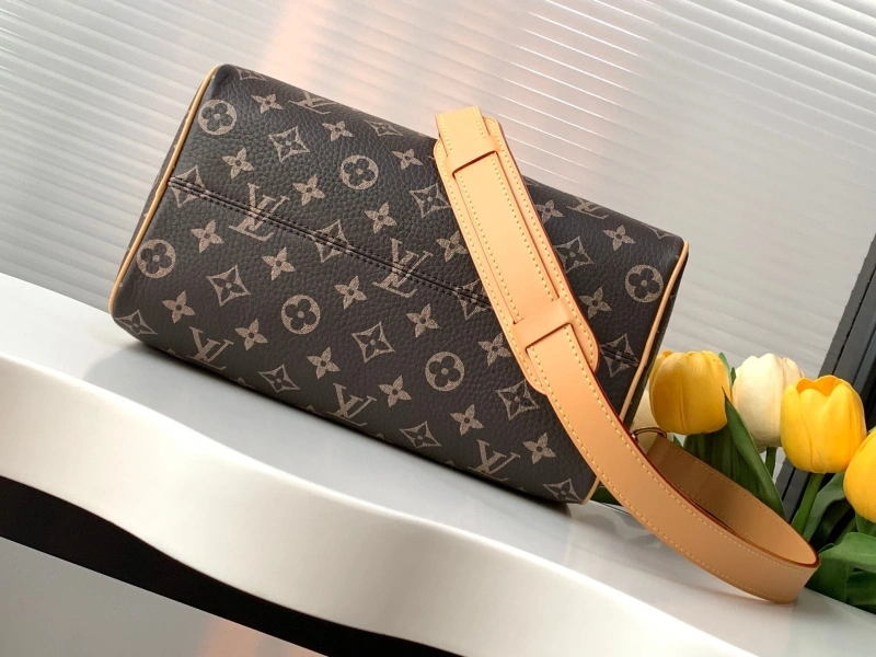 LV Speedy Bags 4233H-2570