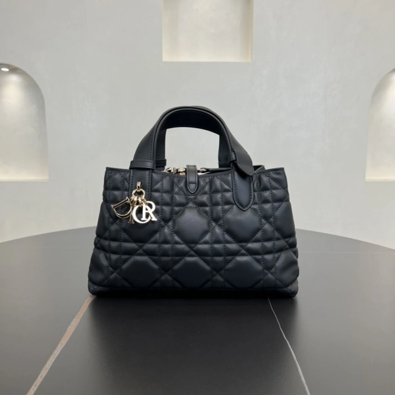 D10r shopping bags 4250i-0119