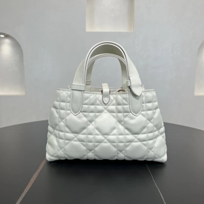 D10r shopping bags 4250i-0120
