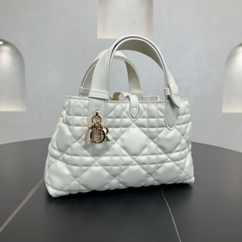 D10r shopping bags 4250i-0120