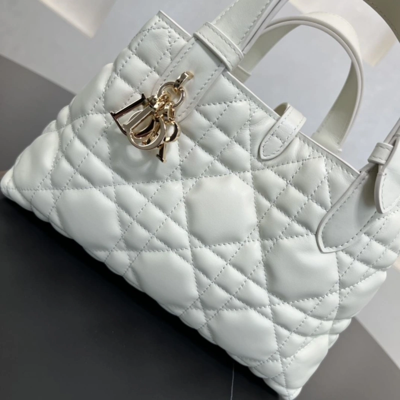 D10r shopping bags 4250i-0120