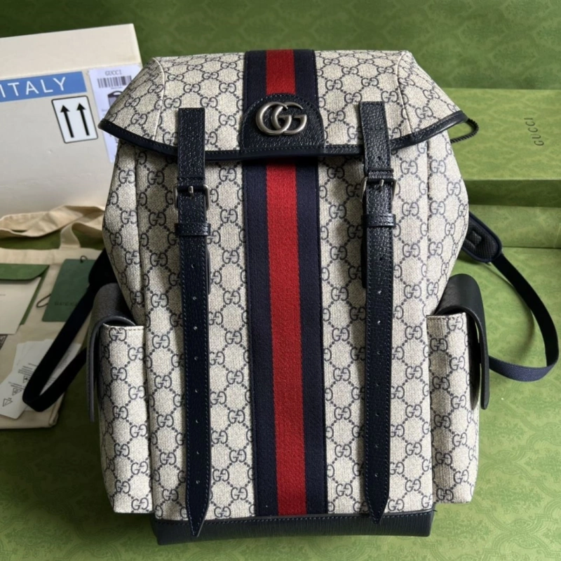 Gvc*1 backpacks 4360c-0171