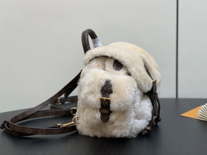 LV Backpacks 4365A-0120