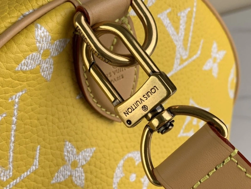 LV Travel Bags 4365H-0246
