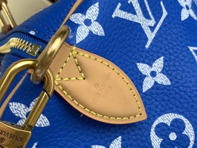 LV Speedy Bags 4365H-0431