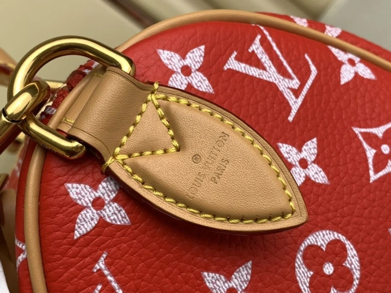 LV Speedy Bags 4365I-0025
