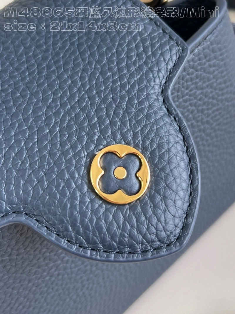 LV Capucines Bags 4365I-0450