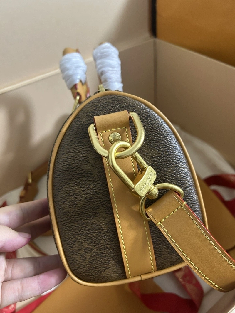 LV Speedy Bags 4365I-0569
