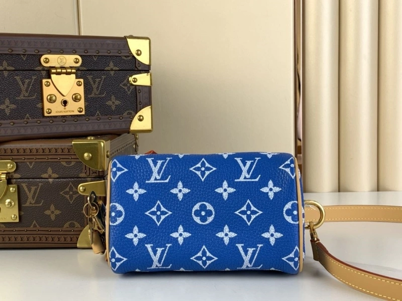 LV Speedy Bags 4365I-0580